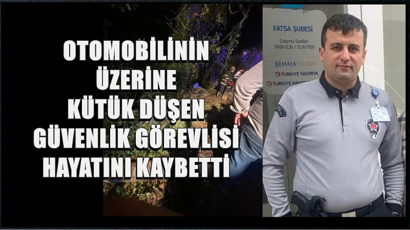 Ordu’da İnanılmaz Kaza; Kamyondaki Kütükler Otomobilin Üzerine Düştü