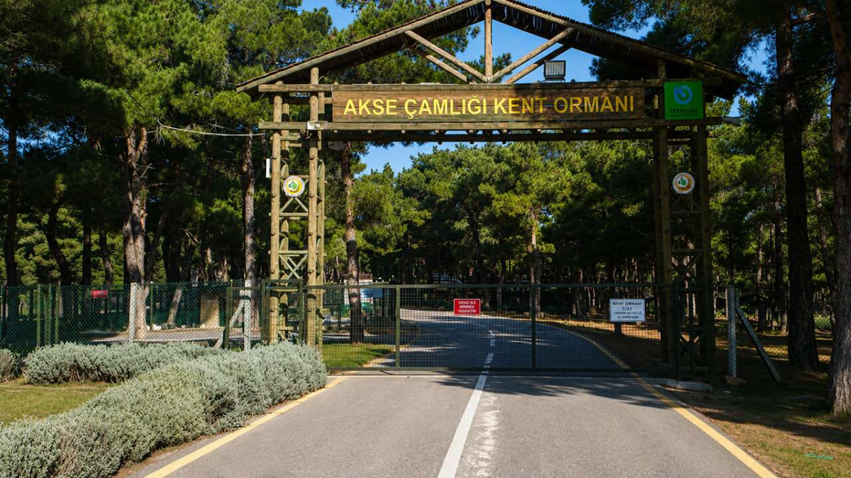 Kavgaya müdahale eden özel güvenlik görevlisi bıçakla yaralandı
